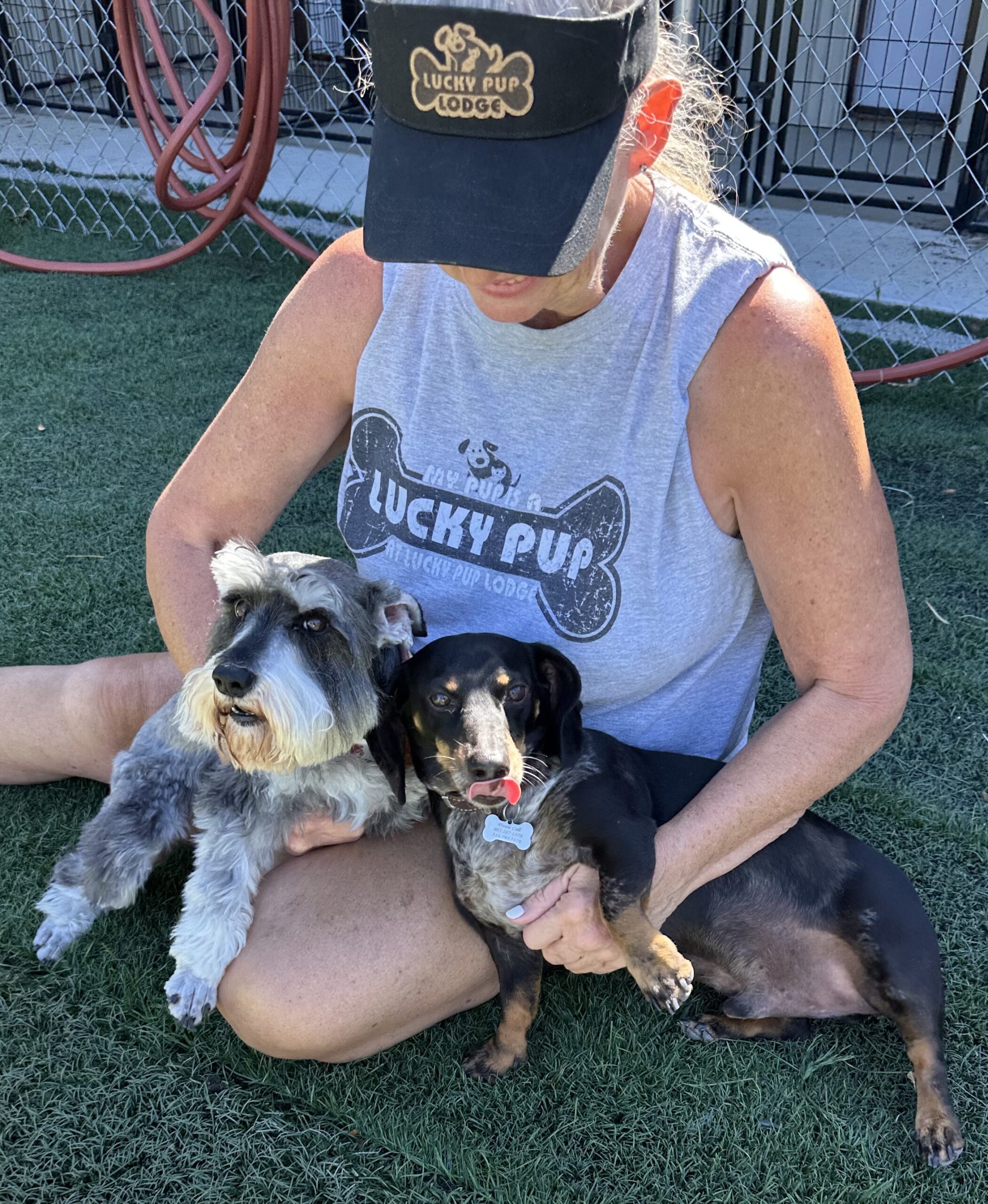 https://luckypuplodge.com/wp-content/uploads/2026/02/Lucky-Pup-Lodge-Website-Pic-2-1-scaled.jpg