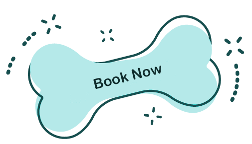 https://luckypuplodge.com/wp-content/uploads/2026/04/book-now-button-2.png