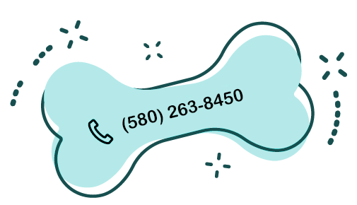 https://luckypuplodge.com/wp-content/uploads/2026/04/number-new.png